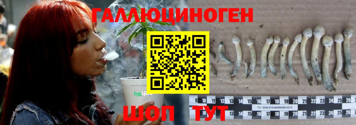 цена наркотик  Вход с VPN  Южно-Сахалинск  Галлюциногенные грибы GOLDEN TEACHER 